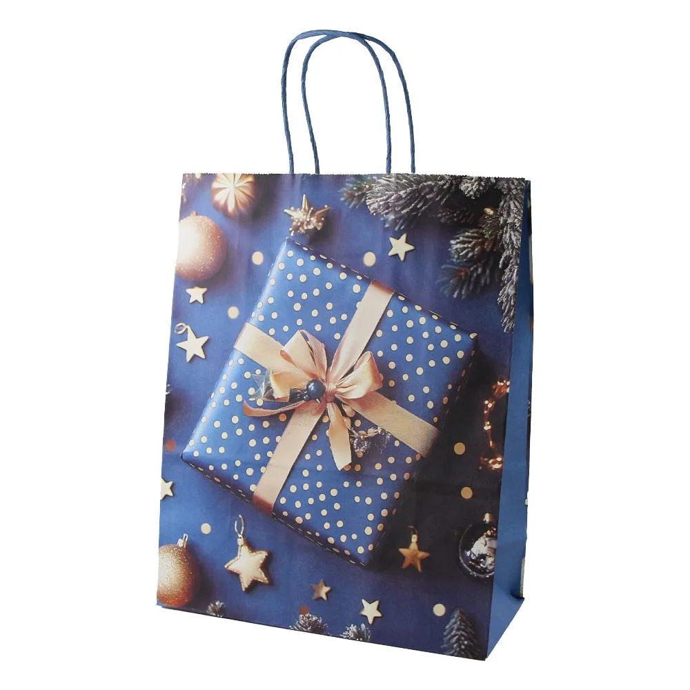Punga cadou de Craciun din hartie 26 x 12 x 33 cm cu cadouri [6]