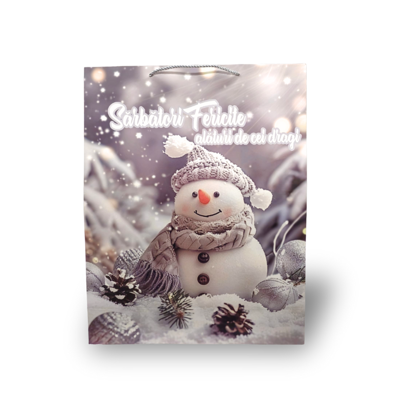 Punga cadou Craciun 43x55x15 cm [1]