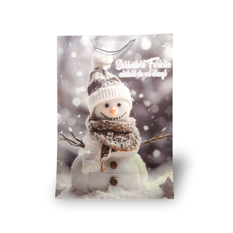 Punga cadou Craciun 50x70x20 cm [1]