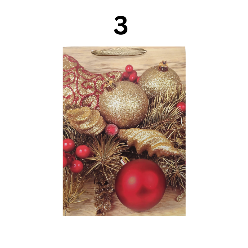 Punga cadou Sarbatori de iarna din carton 40x30 cm modele diferite [4]