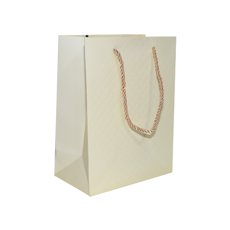 Punga cadou unicolora premium 18x23x10 cm [7]