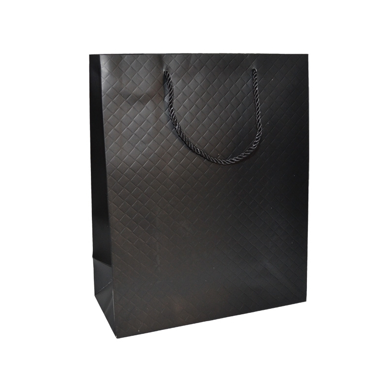 Punga cadou unicolora premium 26x32x12 cm [5]
