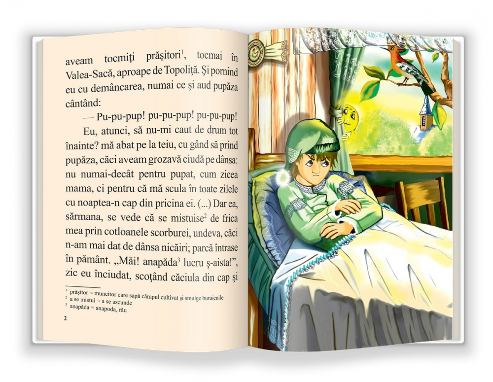 Pupaza din tei - Ion Creanga [3]
