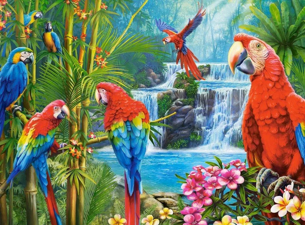 Puzzle 2000 piese Parrot Meeting [2]