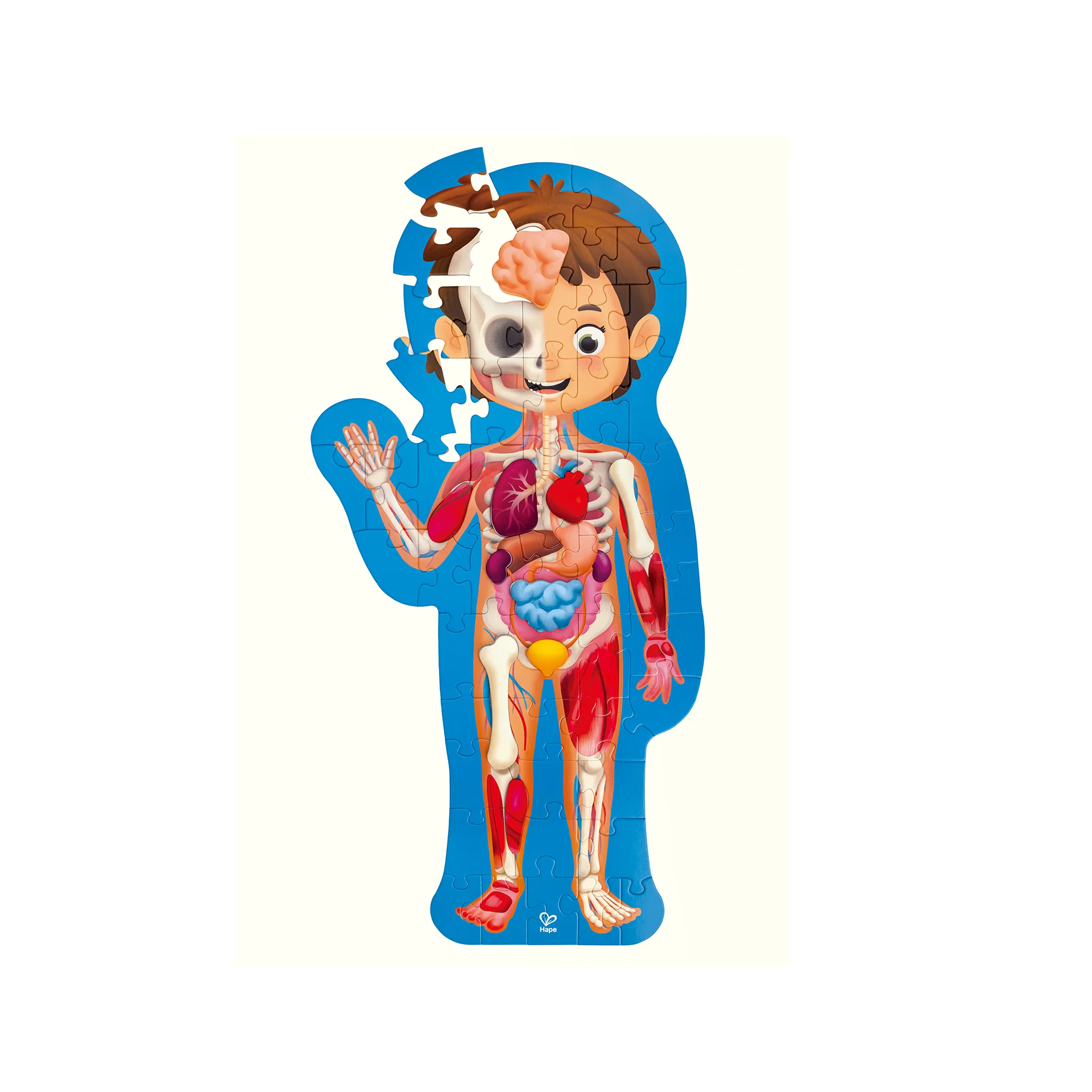 Puzzle Hape Corpul Uman 61 piese 100 x 50 cm [4]