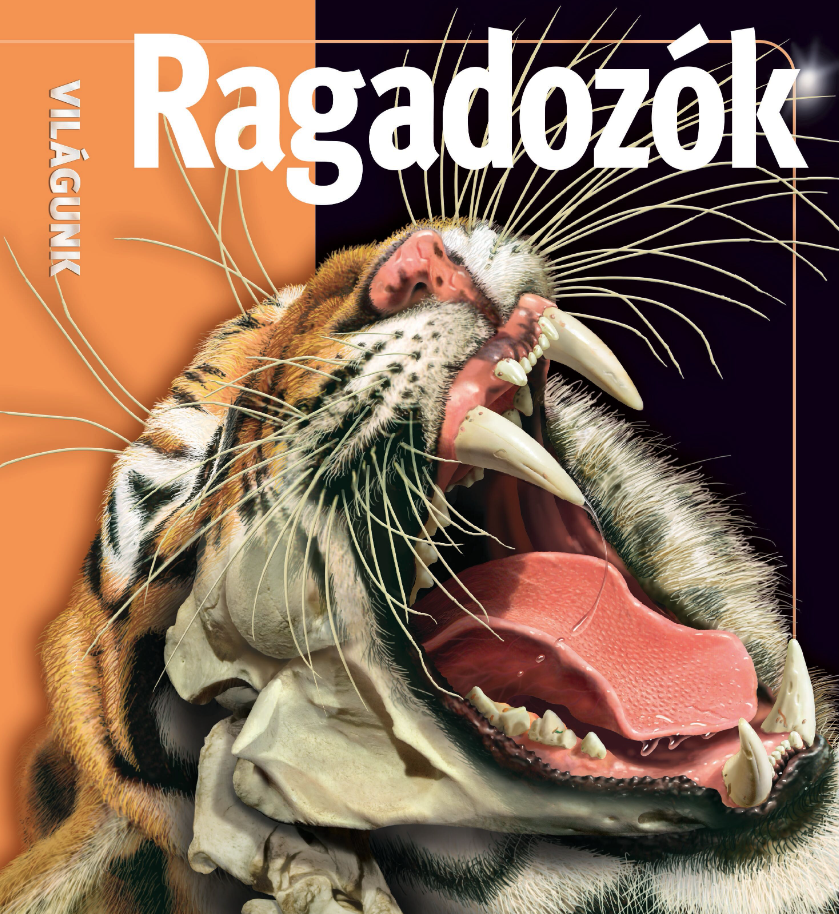 Ragadozok [1]