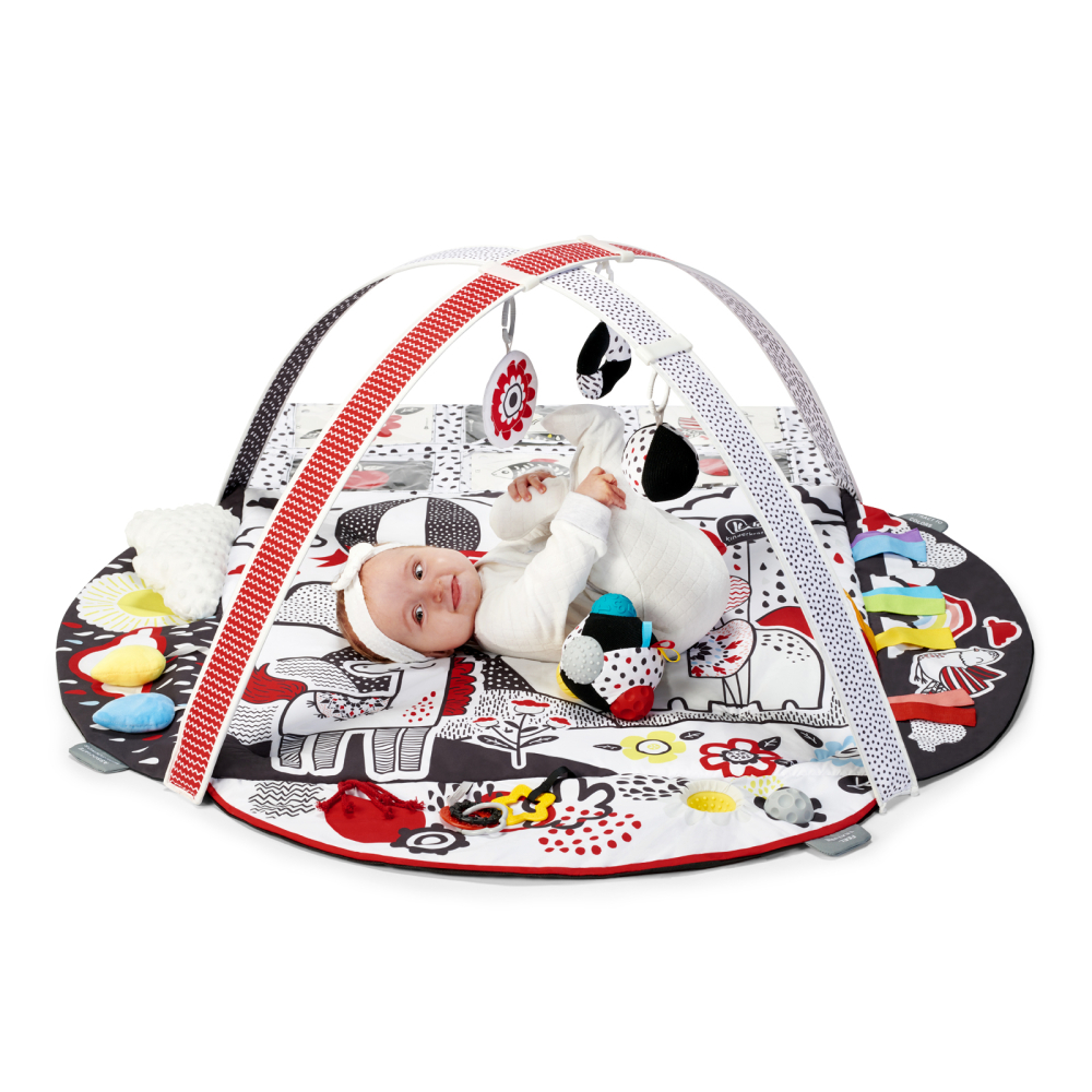 SALTEA DE JOACA EDUCATIONALA KINDERKRAFT 4SMART [9]