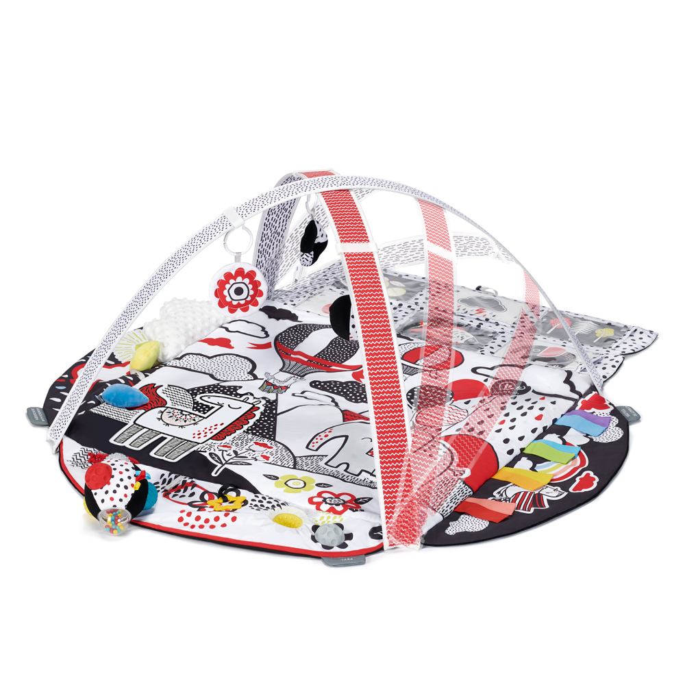 SALTEA DE JOACA EDUCATIONALA KINDERKRAFT 4SMART [12]