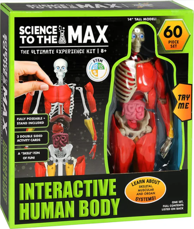 Joc educativ Science To The Max Corp Uman Interactiv 60 de piese [2]