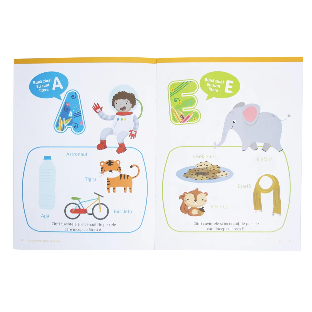 Scoala Profesorului Sebastian - Citire [2]