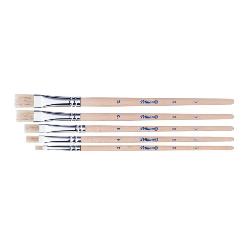 Set 5 pensule Starter varf lat, blister [2]