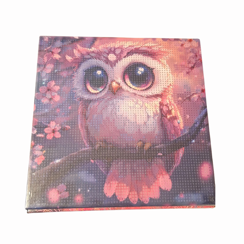Set creativitate cu diamante cal Duoguo 30x30cm [7]