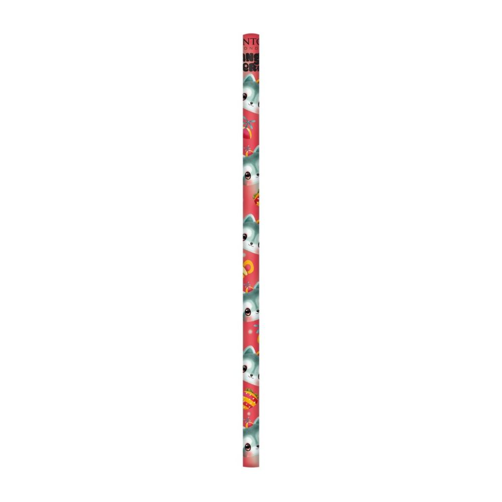 Set 5 creioane grafit Bangoberry Remy Raccoon [2]