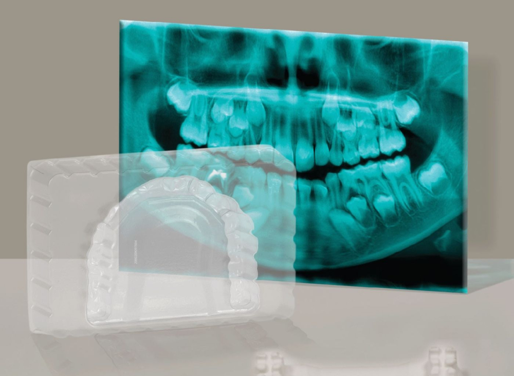 SET EDUCATIONAL LA DENTIST [4]