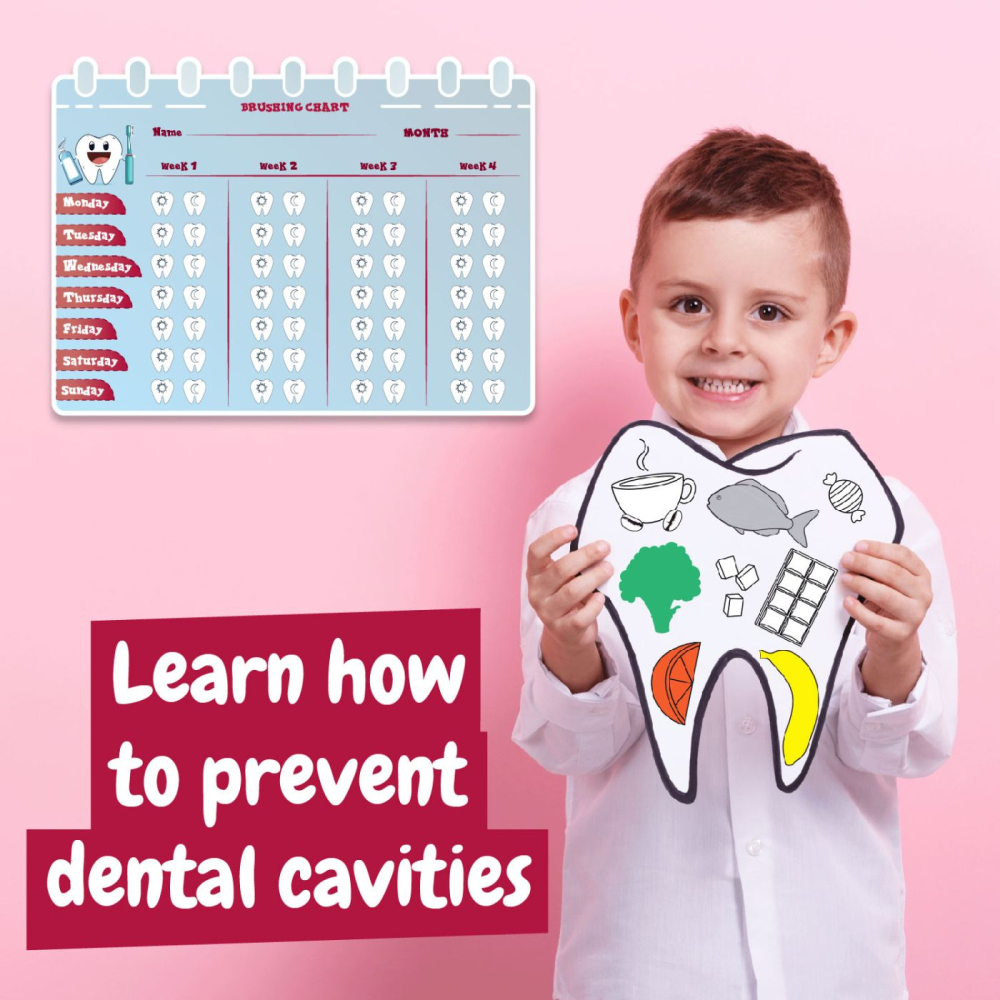 SET EDUCATIONAL LA DENTIST [3]