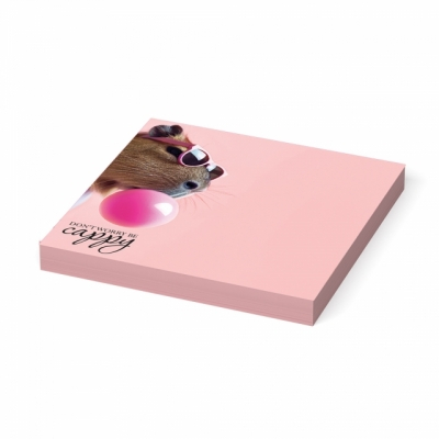 Sticky notes hartie 75x75mm 20 coli Capybarbara Erich Krause modele diferite [2]