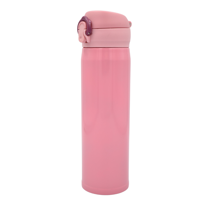 Termos metalic 480ml diverse culori [4]