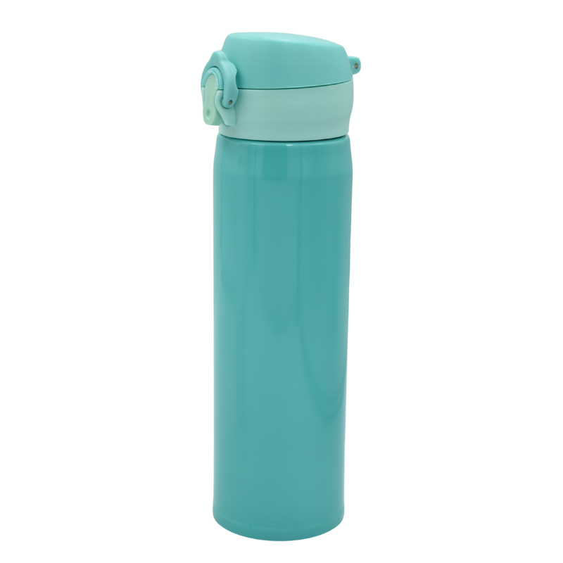 Termos metalic 480ml diverse culori [2]