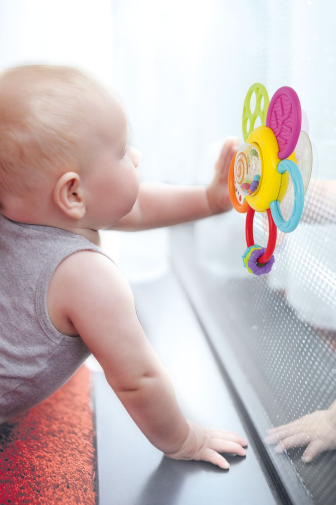 WINFUN SET 4 ZORNAITORI [5]