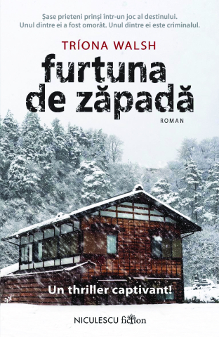 Thriller și mister - Furtuna de zapada - Triona Walsh