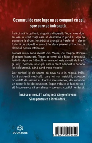 Accidentul – Freida McFadden [1]