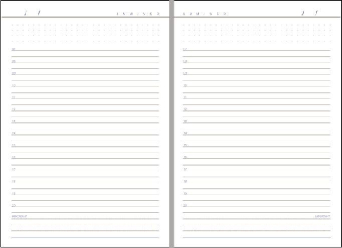 Agenda nedatata A5 Domino Ego 14 x 20.5 cm 192 pagini bordeaux [2]