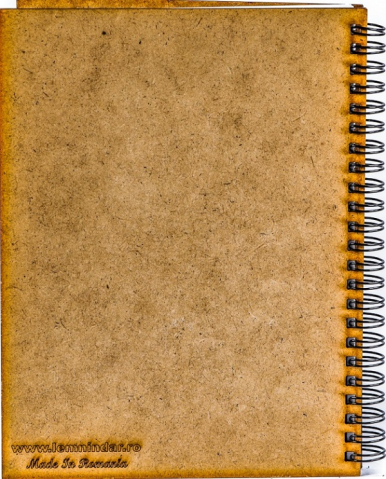 Agenda A5 personalizata din lemn Cea mai buna diriginta [1]
