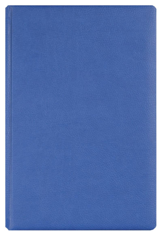 Agende datate - Agenda zilnica A5 Office Ego 16 x 23.5 cm 400 pagini albastru
