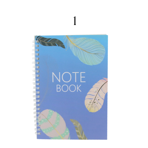 Agenda cu spirala note book 15x21cm diferite modele [1]