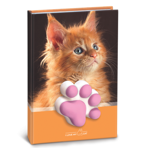 Agenda nedatata cu pisicute squishy 10 x 15 cm culori diferite [2]