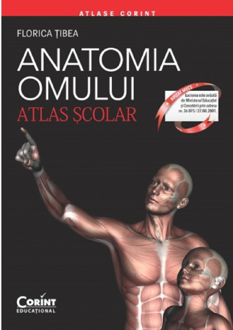 Cărți - Anatomia omului - Atlas scolar - Florina Tibea
