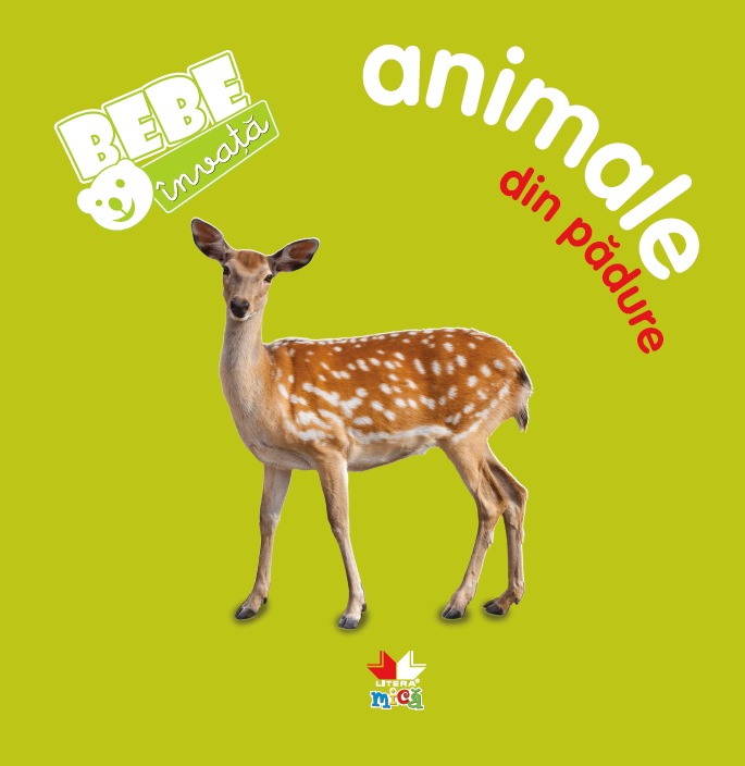 Cărți ilustrate și interactive - Bebe invata. Animale din padure