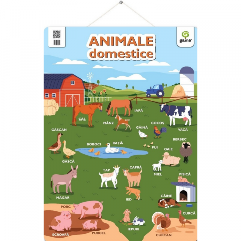 Noutăți Librăria Compas - Poster - Animale domestice