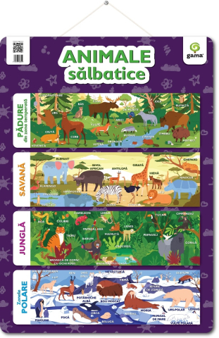 Noutăți Librăria Compas - Poster - Animale salbatice