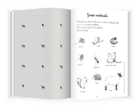 Animale si insecte. Activitatile mele Montessori - Eve Herrmann [1]