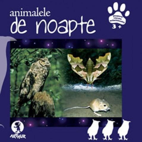 Noutăți Librăria Compas - Animalele de noapte