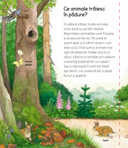 Animalele padurii - Patricia Mennen [1]