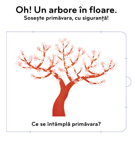 Anotimpurile. Cartea mea cu ilustratii [1]