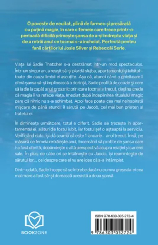 Anul in care am primit a doua sansa - Melissa Wiesner [1]