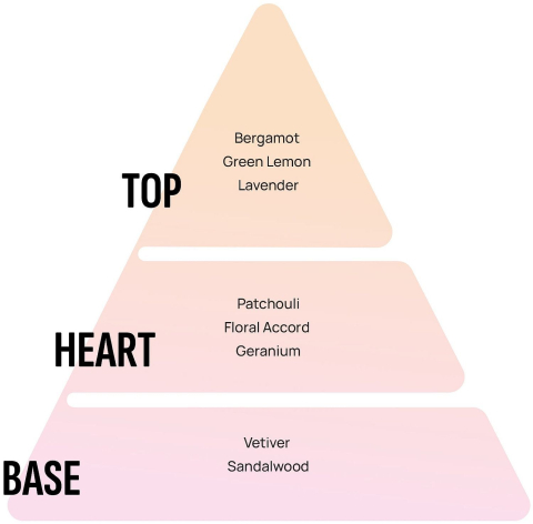 Odorizant camera Areon Gold 50 ml [2]