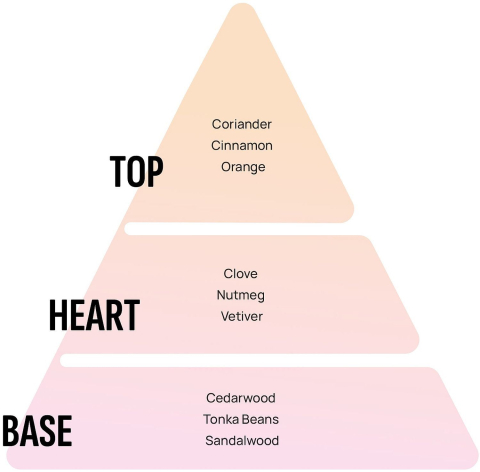 Odorizant camera Areon Tortuga 50 ml [2]
