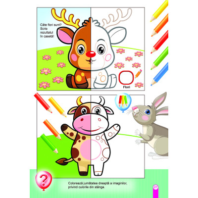 Atelierul iepurasului [5]