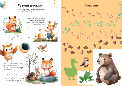 Aventuri la camping. Activitati si abtibilduri [4]