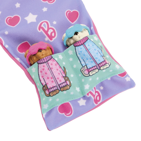 BARBIE PAPUSA BARBIE FAMILY SET PETRECERE CU 2 CATELUSI COLOR CHANGE [4]