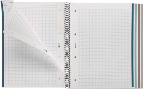 Caiet A4 de matematica cu spira Miquelrius Eco Birds 120 file [1]
