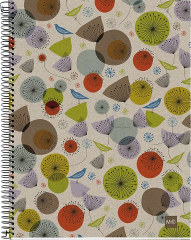 Caiete matematică - Caiet A4 de matematica cu spira Miquelrius Eco Birds 120 file