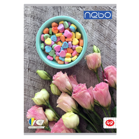 Caiet A4 48 file matematica Nebo [2]