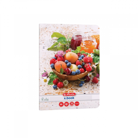 Caiet A4 60 file dictando motiv Healthy Snack Herlitz [2]