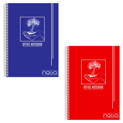 Rechizite școlare - Caiet A4 80 file 29.8x1.5x22cm Nebo matematica culori diferite