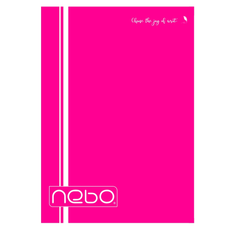 Caiet A4 80 file dictando coperta PP Nebo [8]